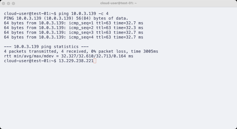 Ping From Vietnix VM